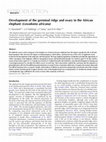 Research paper thumbnail of Development of the germinal ridge and ovary in the African elephant (Loxodonta africana)