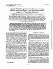 Research paper thumbnail of Specific T-cell recognition of the merozoite proteins rhoptry-associated protein 1 and erythrocyte-binding antigen 1 of Plasmodium falciparum