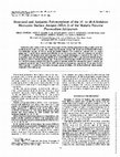 Research paper thumbnail of Structural and antigenic polymorphism of the 35- to 48-kilodalton merozoite surface antigen (MSA-2) of the malaria parasite Plasmodium falciparum