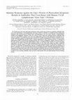 Research paper thumbnail of Immune Response against the Exp-1 Protein of Plasmodium falciparum Results in Antibodies That Cross-React with Human T-Cell Lymphotropic Virus Type 1 Proteins