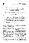 Research paper thumbnail of Effect of a reserpine-like agent on the release and metabolism of [3H]NA in cell bodies and terminals