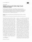 Research paper thumbnail of Habitat use by juvenile Golden Eagles<i>Aquila chrysaetos</i>in Spain