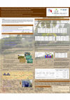 Research paper thumbnail of Phytochemical Composition and Antioxidant Properties of Portuguese Kale and Portuguese Tronchuda Cabbage Produced in a Sustainable Agriculture Production System Are Affected by Climate Conditions