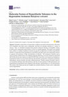 Research paper thumbnail of Molecular Factors of Hypochlorite Tolerance in the Hypersaline Archaeon Haloferax volcanii