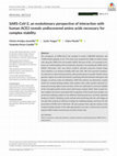 Research paper thumbnail of SARS‐CoV‐2, an evolutionary perspective of interaction with human ACE2 reveals undiscovered amino acids necessary for complex stability