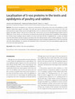 Research paper thumbnail of Localization of S-100 proteins in the testis and epididymis of poultry and rabbits