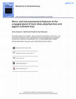 Research paper thumbnail of Micro- and macroanatomical features of the uropygial gland of duck (<i>Anas platyrhynchos</i>) and pigeon (<i>Columba livia</i>)