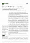 Research paper thumbnail of Efficacy of Pendimethalin Rates on Barnyard Grass (Echinochloa crus-galli (L.) Beauv) and Their Effect on Photosynthetic Performance in Rice