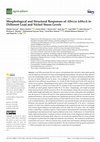 Research paper thumbnail of Morphological and Structural Responses of Albizia lebbeck to Different Lead and Nickel Stress Levels