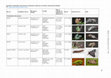 Research paper thumbnail of Noctuoidea: Notodontidae: Dicranurinae, Notodontinae, Pygaerinae, Scranciinae, undetermined subfamily