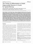 Research paper thumbnail of The timing of differentiation of adult hippocampal neurons is crucial for spatial memory