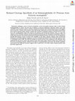 Research paper thumbnail of Relaxed Cleavage Specificity of an Immunoglobulin A1 Protease from <i>Neisseria meningitidis</i>