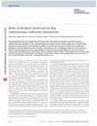 Research paper thumbnail of Roles of divalent metal ions in flap endonuclease–substrate interactions