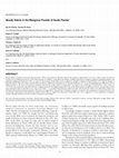 Research paper thumbnail of Woody Debris in the Mangrove Forests of South Florida1