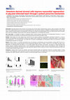 Research paper thumbnail of Omentum-derived stromal cells improve myocardial regeneration in pig post-infarcted heart through a potent paracrine mechanism