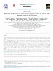 Research paper thumbnail of Detection of Helicobacter pylori urease antigen in saliva in patients with different gastric H. pylori status