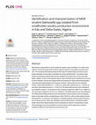 Research paper thumbnail of Identification and characterization of MDR virulent Salmonella spp isolated from smallholder poultry production environment in Edo and Delta States, Nigeria