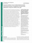 Research paper thumbnail of Liposomal melatonin rescues methamphetamine-elicited mitochondrial burdens, pro-apoptosis, and dopaminergic degeneration through the inhibition PKCδ gene