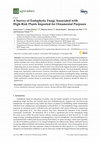 Research paper thumbnail of A Survey of Endophytic Fungi Associated with High-Risk Plants Imported for Ornamental Purposes