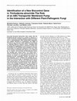 Research paper thumbnail of Identification of a New Biocontrol Gene in <i>Trichoderma atroviride</i>: The Role of an ABC Transporter Membrane Pump in the Interaction with Different Plant-Pathogenic Fungi