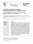 Research paper thumbnail of Legionella bozemanae synthesizes phosphatidylcholine from exogenous choline