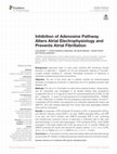 Research paper thumbnail of Inhibition of Adenosine Pathway Alters Atrial Electrophysiology and Prevents Atrial Fibrillation