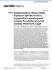 Research paper thumbnail of Biodeterioration effects of three Aspergillus species on stucco supported on a wooden panel modeled from Sultan al-Ashraf Qaytbay Mausoleum, Egypt