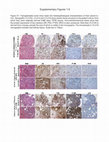 Research paper thumbnail of Supplementary Figures 1 - 9 from High Fidelity Patient-Derived Xenografts for Accelerating Prostate Cancer Discovery and Drug Development