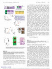 Research paper thumbnail of MP51-15 Predictive Value and Potentials for Co-Targeted Therapy of STAT1 Signaling in Gemcitabine/Cisplatin Resistant Bladder Cancer