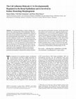 Research paper thumbnail of The Cell Adhesion Molecule L1 Is Developmentally Regulated in the Renal Epithelium and Is Involved in Kidney Branching Morphogenesis