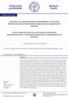 Research paper thumbnail of The role of adenosine monophosphate-activated protein kinase in neurodegeneration in Parkinson's disease