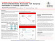 Research paper thumbnail of Language and the Values of Personal Pronouns : A Tool to Redistribute Resources from Outgroup Individuals to Ingroup Collectives