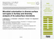 Research paper thumbnail of Microbial colonisation in diverse surface soil types in Surtsey and diversity analysis of its subsurface microbiota