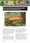 Research paper thumbnail of First record of Vagrant Vagrans egista sinha from Uttar Pradesh, India