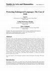 Research paper thumbnail of Protecting Endangered Languages: The Case of Irish