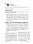 Research paper thumbnail of Acta Scientiarum