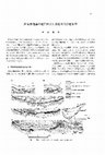 Research paper thumbnail of Coastal Geomorphology of Okino-erabu Island and Postglacial Sea Levels