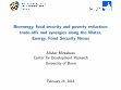 Research paper thumbnail of Bioenergy, food security and poverty reduction: trade-offs and synergies along the water–energy–food security nexus