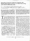 Research paper thumbnail of Thioredoxin Reductase Induction Coincides with Melanin Biosynthesis in Brown and Black Guinea Pigs and in Murine Melanoma Cells