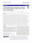 Research paper thumbnail of Cortical potentiation induced by calcitonin gene-related peptide (CGRP) in the insular cortex of adult mice