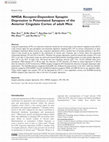 Research paper thumbnail of NMDA Receptor-Dependent Synaptic Depression in Potentiated Synapses of the Anterior Cingulate Cortex of adult Mice