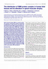 Research paper thumbnail of The distribution of SMN protein complex in human fetal tissues and its alteration in spinal muscular atrophy