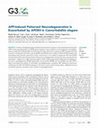 Research paper thumbnail of <i>APP</i>-Induced Patterned Neurodegeneration Is Exacerbated by<i>APOE4</i>in<i>Caenorhabditis elegans</i>