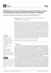 Research paper thumbnail of Identification of Genes Promoting Growth of Ustilago maydis on Biomolecules Released from Cells Killed by Oxidation