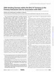 Research paper thumbnail of DNA-binding Domain within the Brh2 N Terminus Is the Primary Interaction Site for Association with DNA