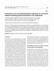 Research paper thumbnail of Anatomical and electrophysiological plasticity of locomotor networks following spinal transection in the salamander