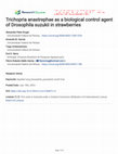 Research paper thumbnail of Trichopria anastrephae as a biological control agent of Drosophila suzukii in strawberries