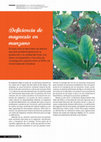 Research paper thumbnail of Deficiencia de magnesio en manzano