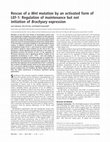 Research paper thumbnail of Rescue of a <i>Wnt</i> mutation by an activated form of LEF-1: Regulation of maintenance but not initiation of <i>Brachyury</i> expression