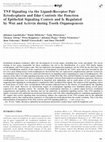 Research paper thumbnail of TNF Signaling via the Ligand–Receptor Pair Ectodysplasin and Edar Controls the Function of Epithelial Signaling Centers and Is Regulated by Wnt and Activin during Tooth Organogenesis